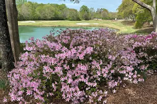 711 Bluff Rd, Statham, GA 30666 - Photo 70