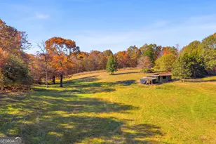 2207 Blacksnake Rd, Mount Airy, GA 30563 - Photo 60