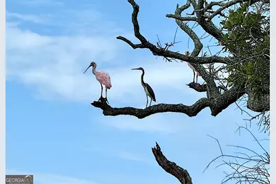 308 Cumberland Harbour Boulevard, Saint Marys, GA 31558 - Photo 2