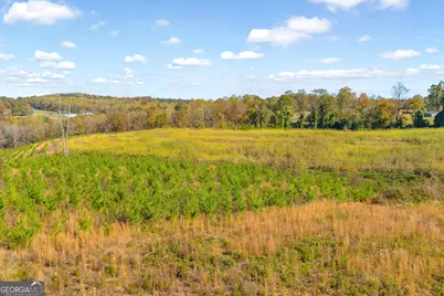 3366 Highway 51 S, Lula, GA 30554 - Photo 44