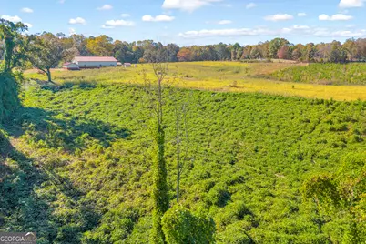 3366 Highway 51 S, Lula, GA 30554 - Photo 38
