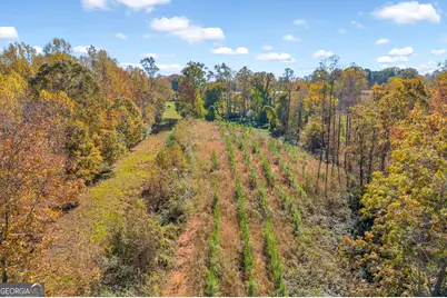 3366 Highway 51 S, Lula, GA 30554 - Photo 48