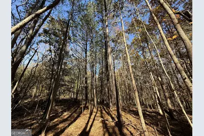 2 Lem Edwards Road, Colbert, GA 30628 - Photo 16