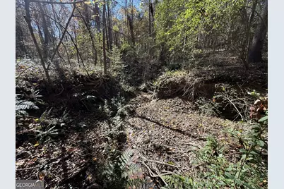 2 Lem Edwards Road, Colbert, GA 30628 - Photo 54