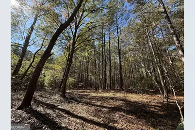 2 Lem Edwards Road, Colbert, GA 30628 - Photo 28