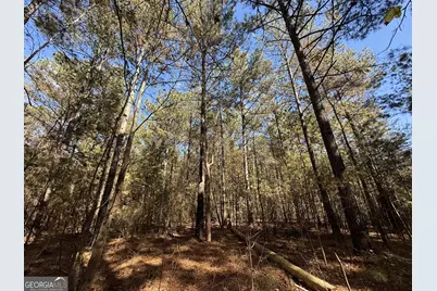 2 Lem Edwards Road, Colbert, GA 30628 - Photo 40