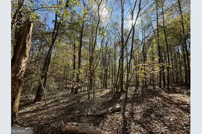 2 Lem Edwards Road, Colbert, GA 30628 - Photo 10