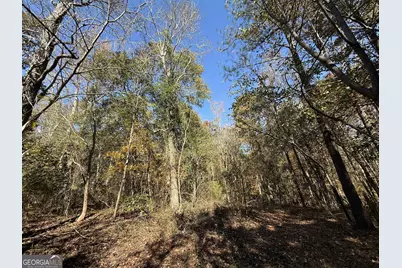 2 Lem Edwards Road, Colbert, GA 30628 - Photo 20