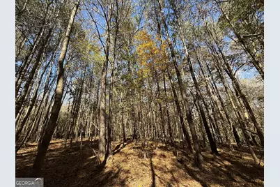 2 Lem Edwards Road, Colbert, GA 30628 - Photo 14