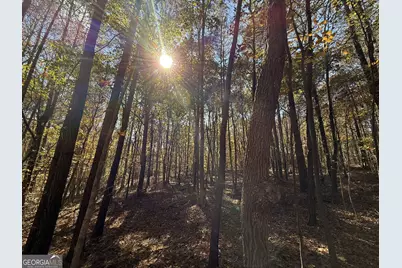 2 Lem Edwards Road, Colbert, GA 30628 - Photo 12