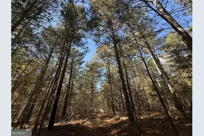 2 Lem Edwards Road, Colbert, GA 30628 - Photo 38