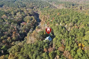 4686 Johnstonville Rd, Forsyth, GA 31029 - Photo 42