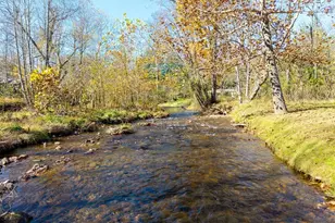 100 Tranquility Ln, Hayesville, NC 28904 - Photo 2