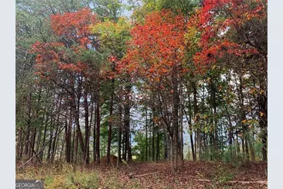 374 Nomad Court, Ranger, GA 30734 - Photo 4