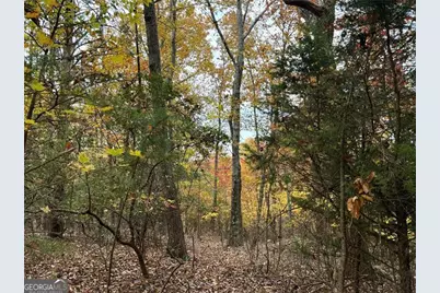 1345 Hunter Drive, Ranger, GA 30734 - Photo 8