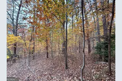 1345 Hunter Drive, Ranger, GA 30734 - Photo 1