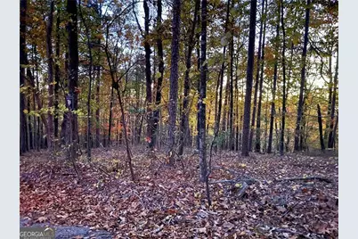 1345 Hunter Drive, Ranger, GA 30734 - Photo 2