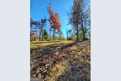 1116 Cody Road, Mount Airy, GA 30563 - Photo 38