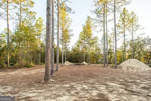 4861 Stanfield Cir, Blackshear, GA 31516 - Photo 4