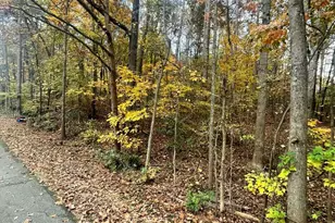 0 Lake Club Dr, Lavonia, GA 30553 - Photo 1