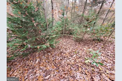 171 Mohawk Trail, Ellijay, GA 30540 - Photo 56
