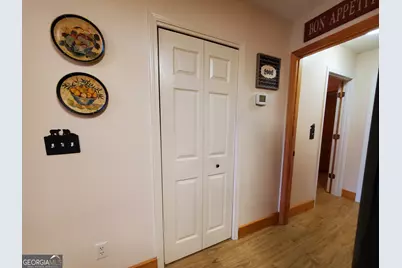 171 Mohawk Trail, Ellijay, GA 30540 - Photo 10