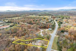 10454 Duncan Bridge Rd, Cleveland, GA 30528 - Photo 18