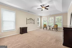 45 Mulberry Dr, Senoia, GA 30276 - Photo 18