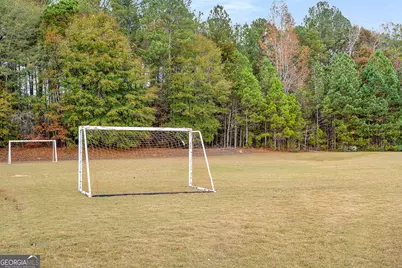 45 Mulberry Drive, Senoia, GA 30276 - Photo 40