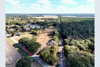 0 Goodson Road, Pelham, GA 31779 - Photo 2