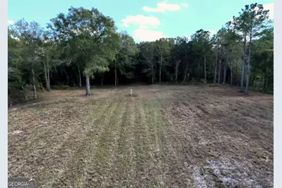 0 Goodson Road, Pelham, GA 31779 - Photo 4