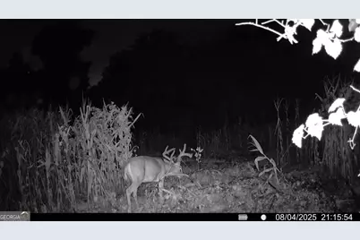 3625 Sylvester Highway, Albany, GA 31705 - Photo 8