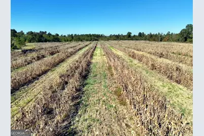 3625 Sylvester Highway, Albany, GA 31705 - Photo 18