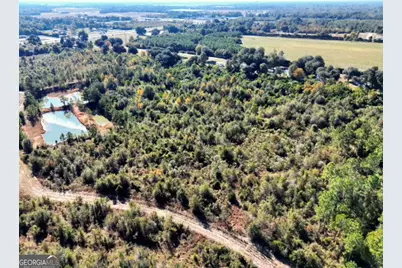 3625 Sylvester Highway, Albany, GA 31705 - Photo 22