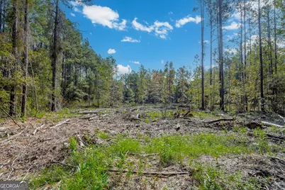 58 Magnolia Plantation, White Oak, GA 31568 - Photo 6