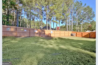 25 Carriage Lane, Senoia, GA 30276 - Photo 62