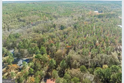 2574 Lower Hartley Bridge Road, Byron, GA 31008 - Photo 44