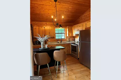 348 Cherry Lake Drive, Blue Ridge, GA 30513 - Photo 8