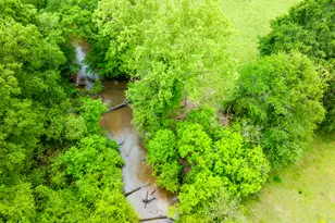 2630 Prospect Rd, Toccoa, GA 30577 - Photo 36