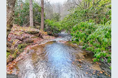 7829 Dillard Road, Scaly Mtn, NC 28775 - Photo 84