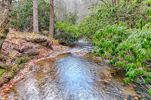 7829 Dillard Rd, Scaly Mtn, NC 28775 - Photo 84