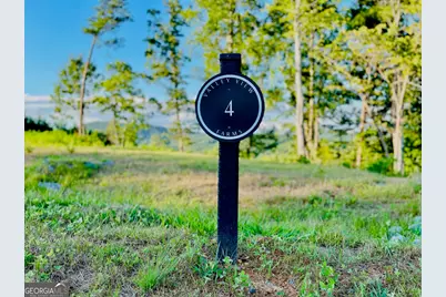 655 Lookout Valley Trail, Talking Rock, GA 30175 - Photo 6