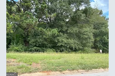 109 Burleyson Drive, McDonough, GA 30253 - Photo 2