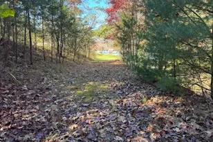 22 Orange Ln, McCaysville, GA 30555 - Photo 100