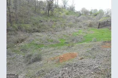 530 Grandview Avenue, Mount Airy, GA 30563 - Photo 4