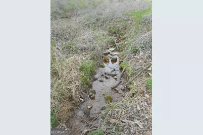 530 Grandview Avenue, Mount Airy, GA 30563 - Photo 2