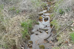 530 Grandview Ave, Mount Airy, GA 30563 - Photo 2