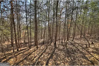 48.4Ac Lofty Heights, Mineral Bluff, GA 30559 - Photo 10