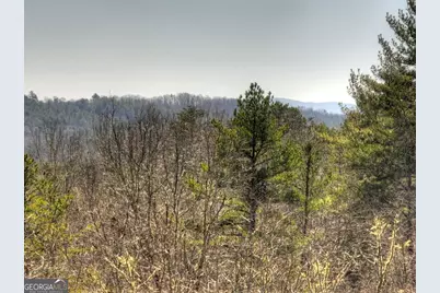 48.4Ac Lofty Heights, Mineral Bluff, GA 30559 - Photo 36
