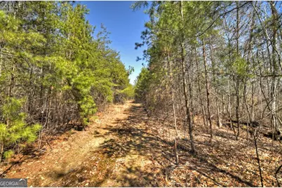 48.4Ac Lofty Heights, Mineral Bluff, GA 30559 - Photo 6